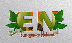 Logo design (comp. Emeganics Nig.Ltd.&