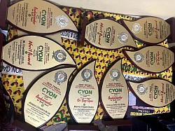 Award plague